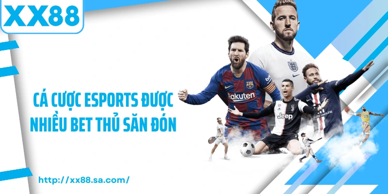 Cá cược Esports được nhiều bet thủ săn đón