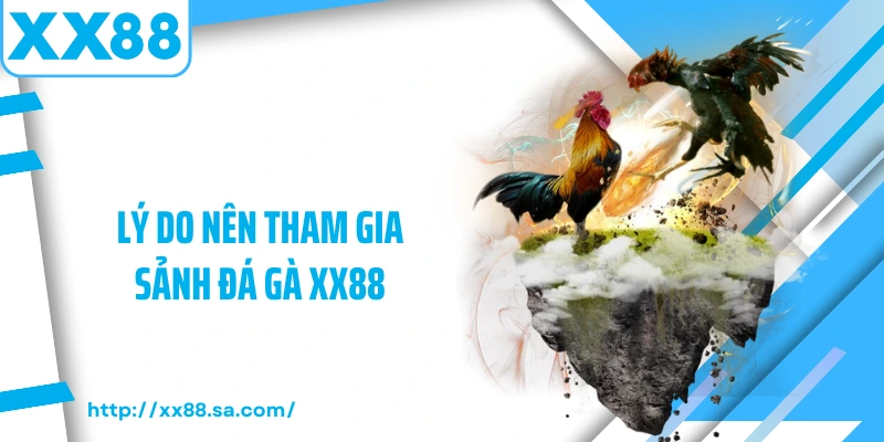 Đá Gà XX88 – Sảnh Cược Chọi Kê Đỉnh Cao Hội Tụ Kịch Tính 4 Lý do nên tham gia sảnh đá gà XX88