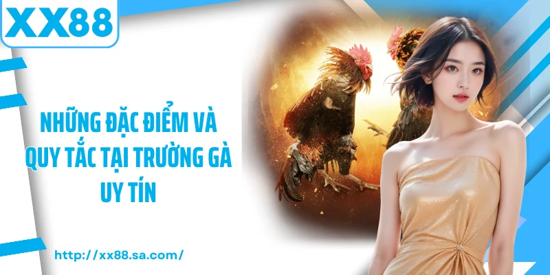 Những đặc điểm và quy tắc tại trường gà uy tín 